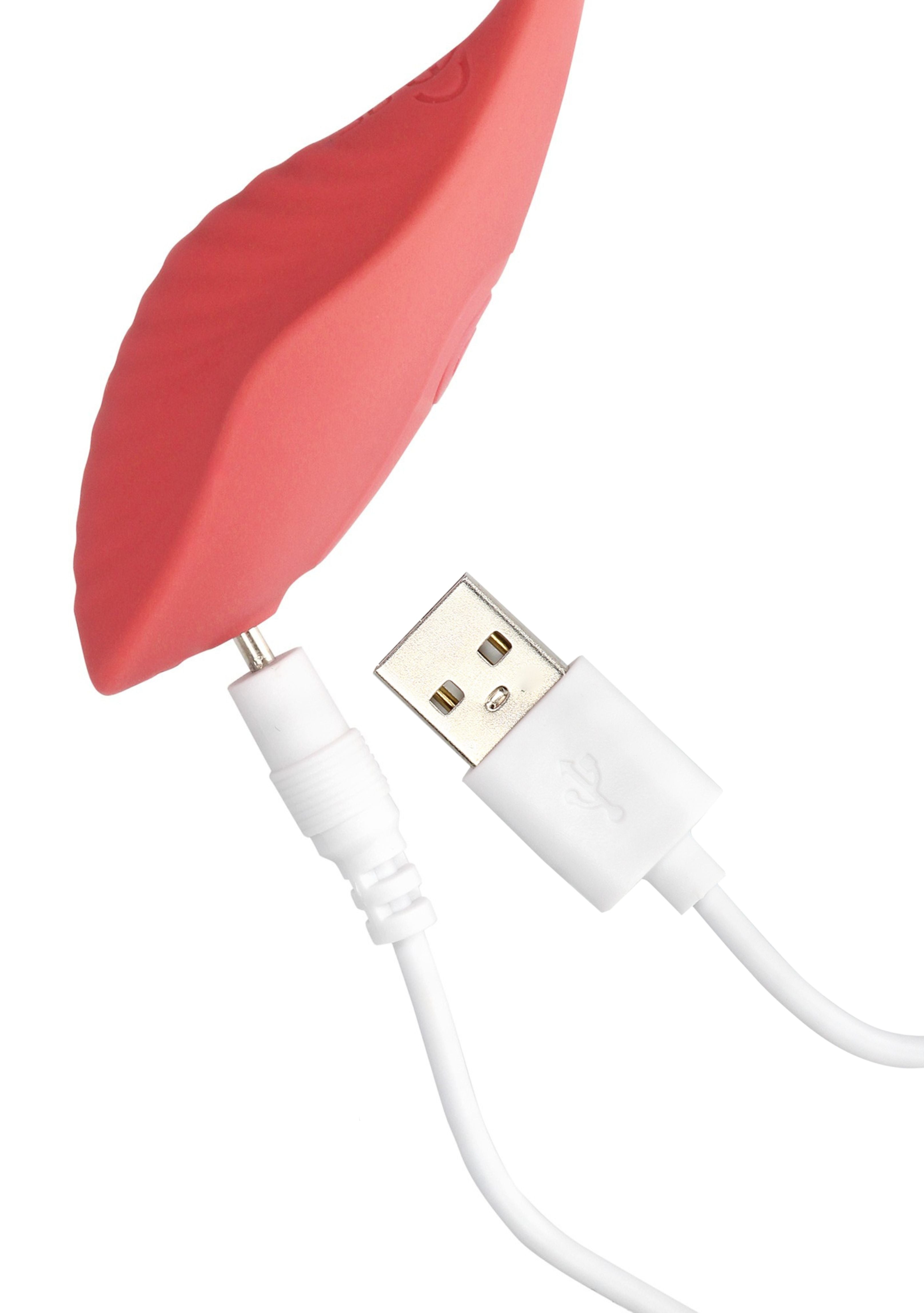 Uzaktan Kumandalı Mini Vibratör