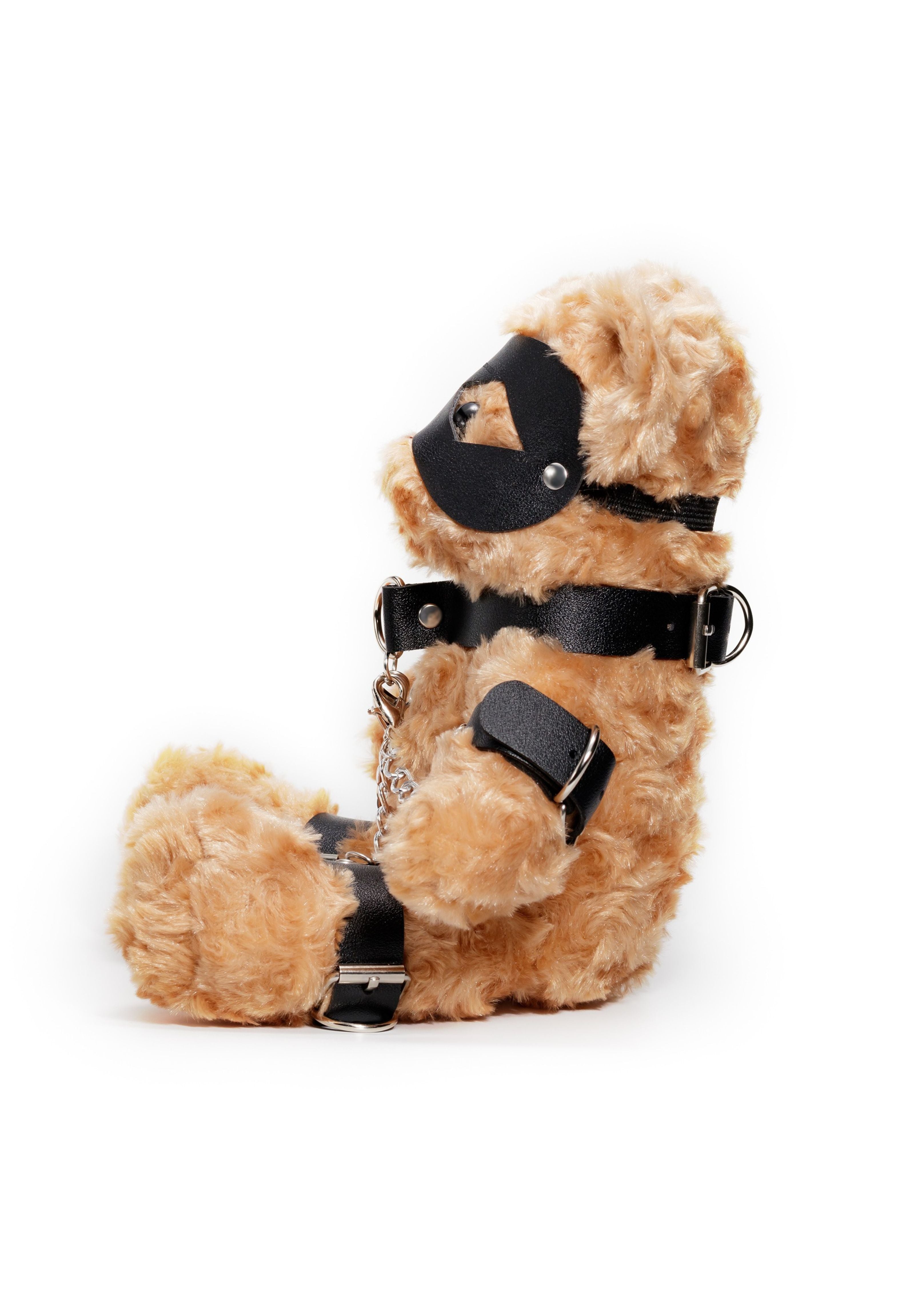 Bondage Teddy Bear