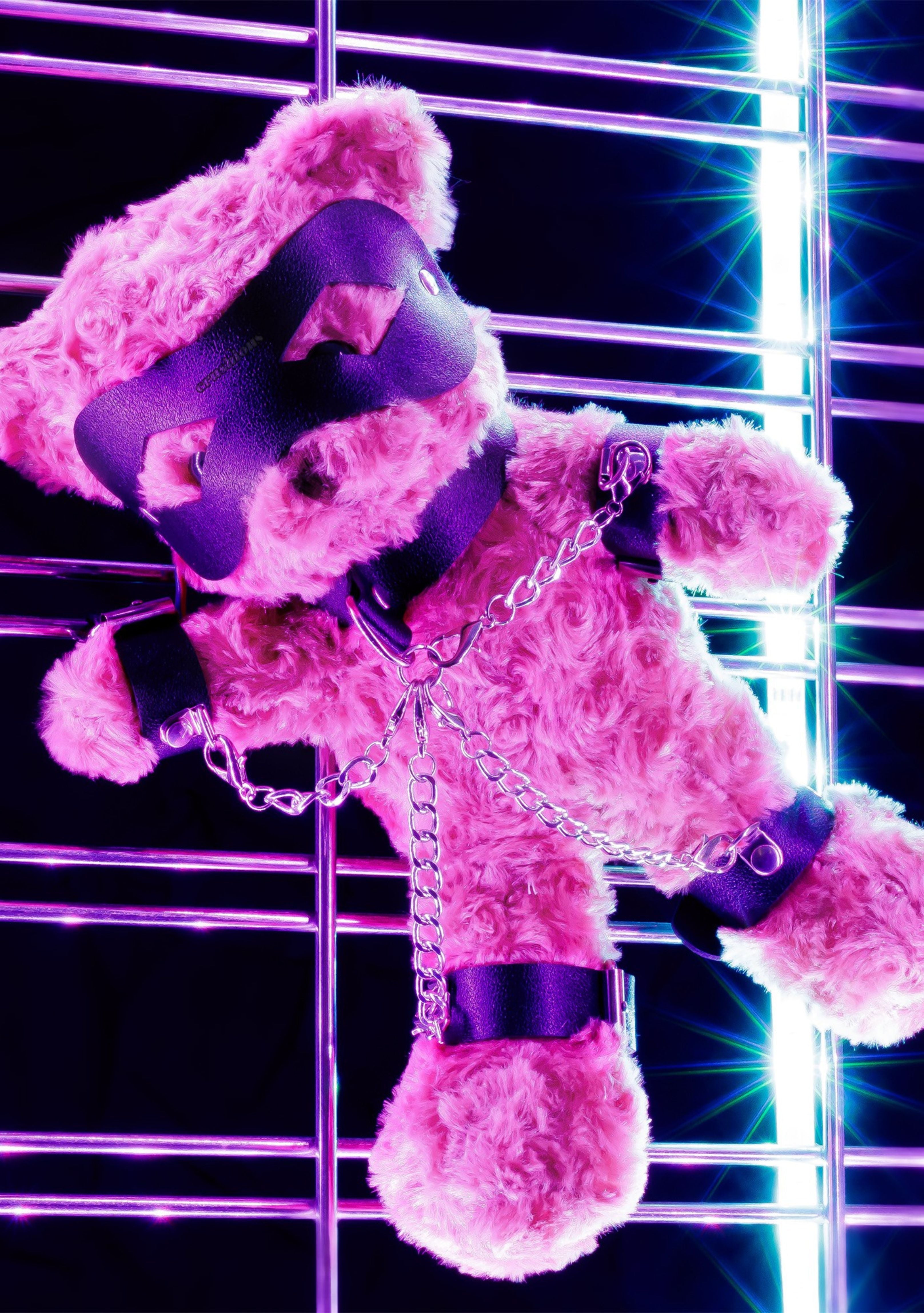 Bondage Teddy Bear