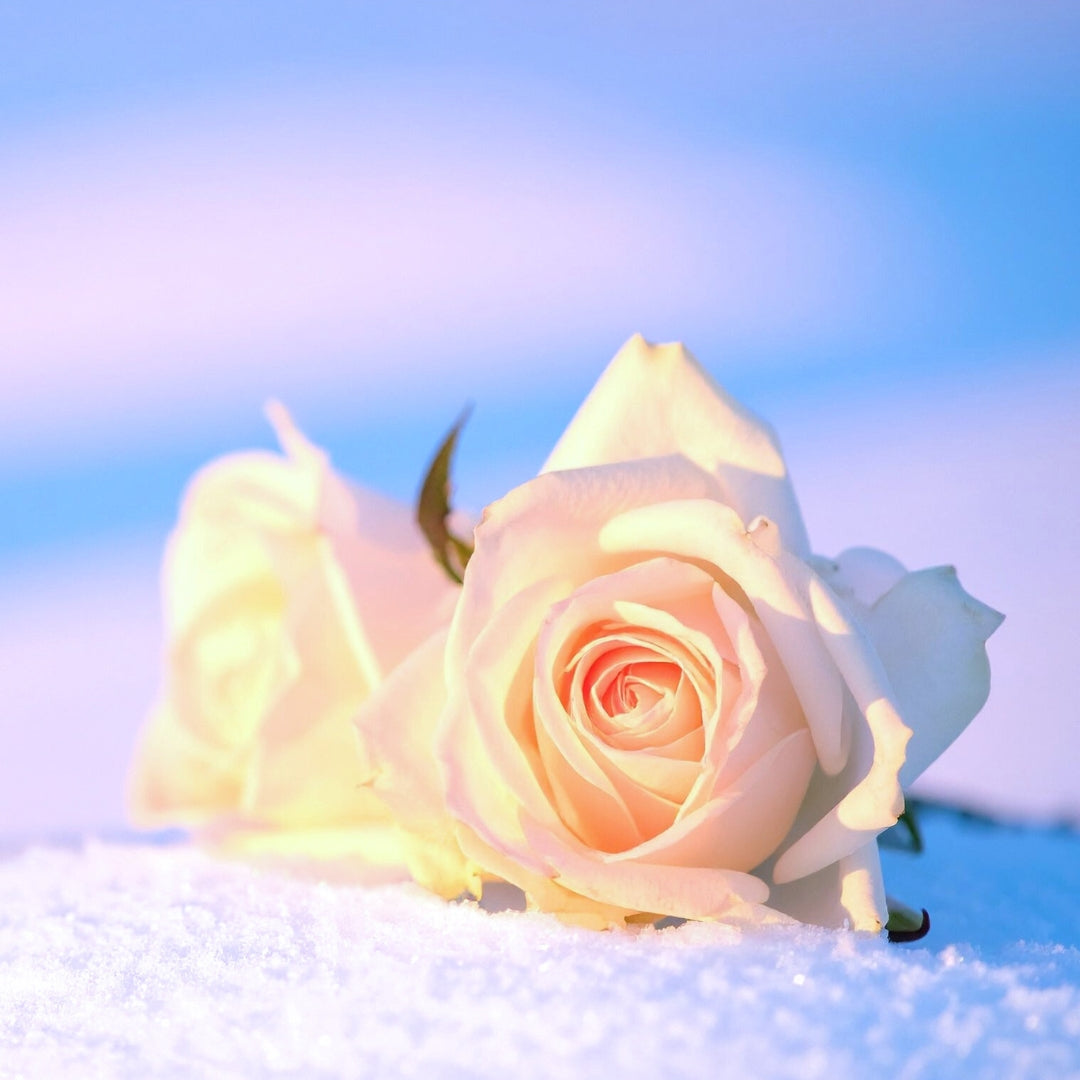 Cold Outside, Hot Inside