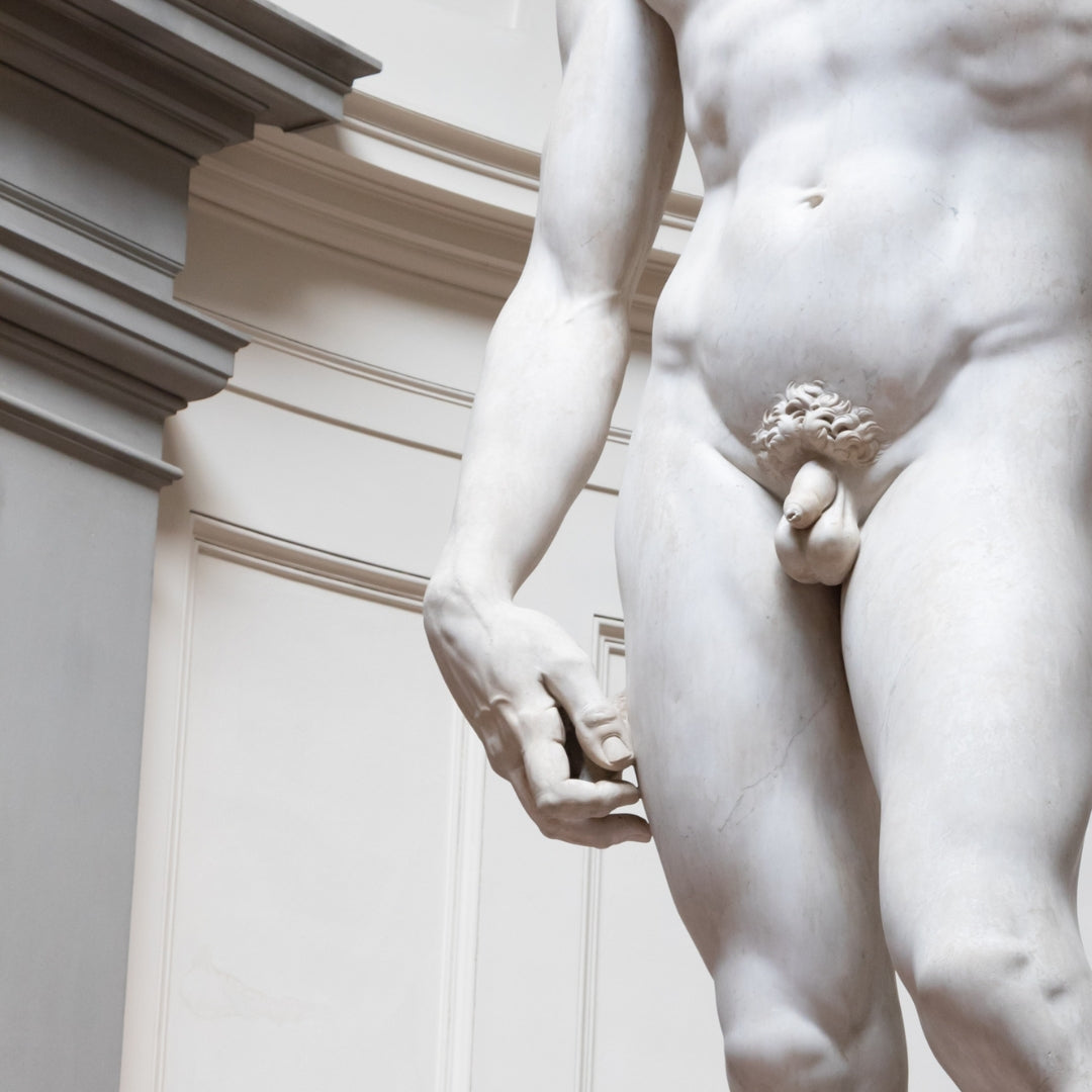 Penis ve Testis Aksesuarları