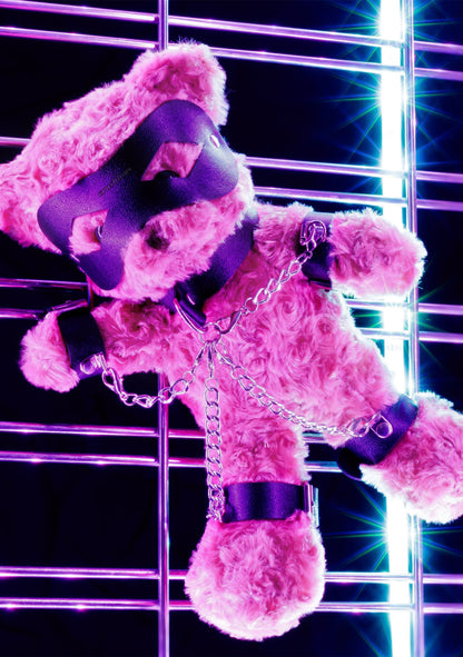 Bondage Teddy Bear